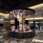 Day 1：香港、羽田空港、Hotel Villa Fontaine Grand