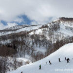 Day 4-5：The Maples Niseko、東急大比羅夫滑雪場、仙之木滑道、家庭滑道