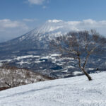 Day 4-6：東急大比羅夫滑雪場、白樺滑道