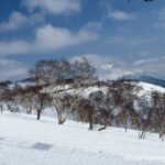 Day 5-5：安努普利國際滑雪場、烏托邦滑道、銀牌滑道