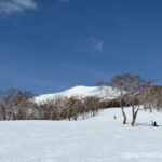 Day 5-7：安努普利國際滑雪場、Nook Annupuri