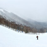 Day 7-3：留壽都滑雪場、西山、彩虹滑道、斑比滑道