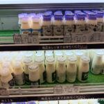 Day 9-4：札幌、新千歲空港、Milk Stand